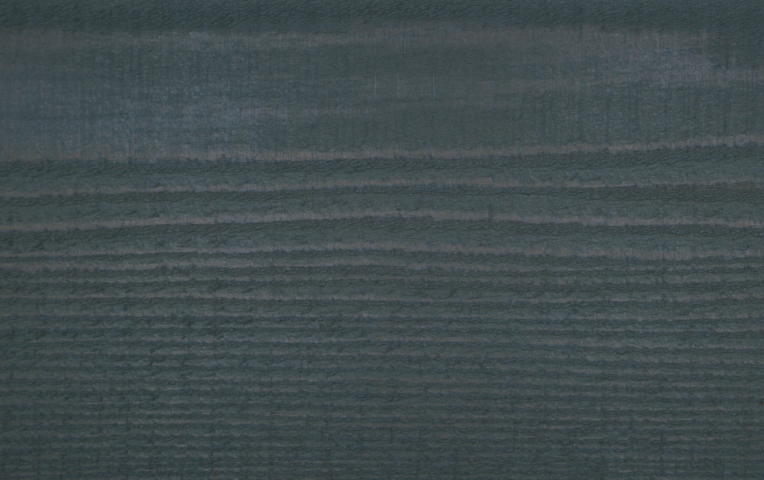 JSC Coda Silver Fox 2nd coat WRC