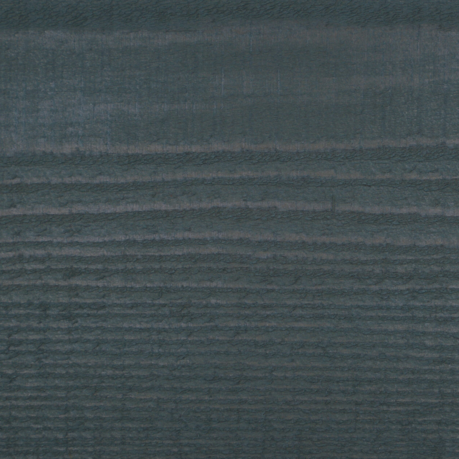 JSC Coda Silver Fox 2nd coat WRC