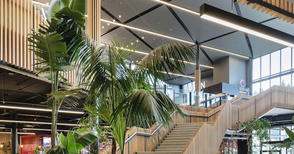 JSC Project Timber Tauranga Crossing