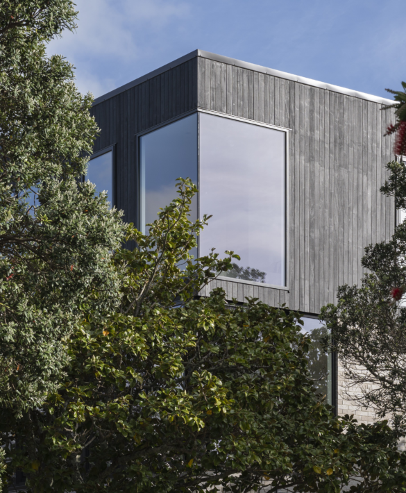 Tennyson Ave Ozac Amba coated JSC Scumble Nightfall 6