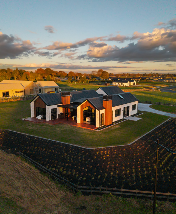 Aerial view of exterior cladding in TMT Taxon and Canyon Clay coating