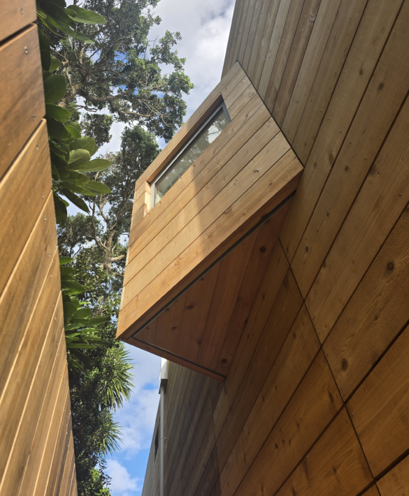 Exterior view of angled window feature of Muriwai home